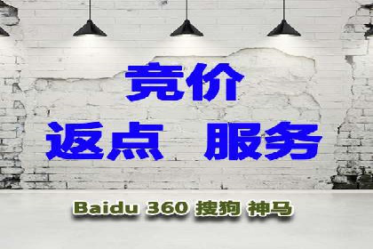 百度广告竞价之成功案例：某行业领军企业的崛起之路